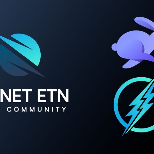 Rabby Wallet Logo and Electroneum