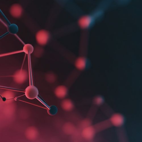 Planet ETN Monthly Recap – January 2026