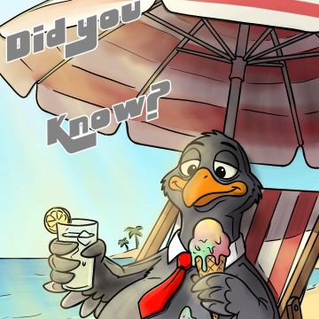 Did you know? Heatwave...
